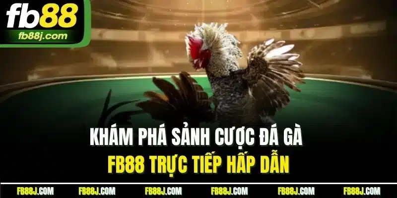 Đá Gà FB88 | Chinh Phục Sảnh Chọi Kê Trực Tiếp Chất Lượng 1 Khám phá sảnh cược đá gà FB88 trực tiếp hấp dẫn